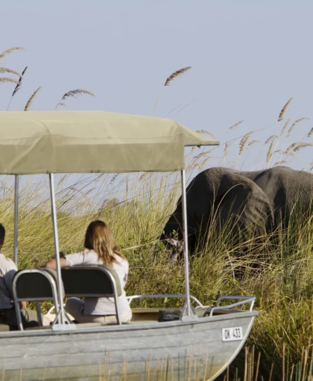 boating safaris, moremi game reserve, africa vacations