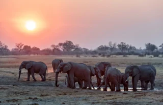 sunset over the linyanti, botswana safari vacations
