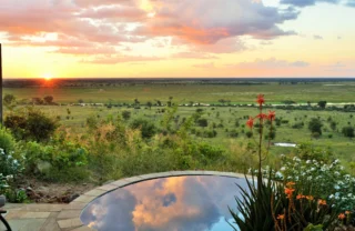 outside pool, chobe national park, botswana safaris