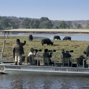 boat game, chobe national park, botswana safaris