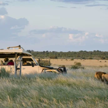 game drive safaris, central kalahari, botswana, africa holidays
