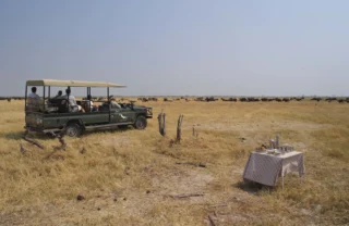 game drives in savute safari park, botswana, africa safaris
