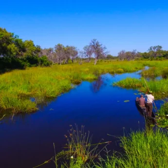 khwai safari park, botswana, southern africa