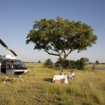 Helicopter Safaris 6