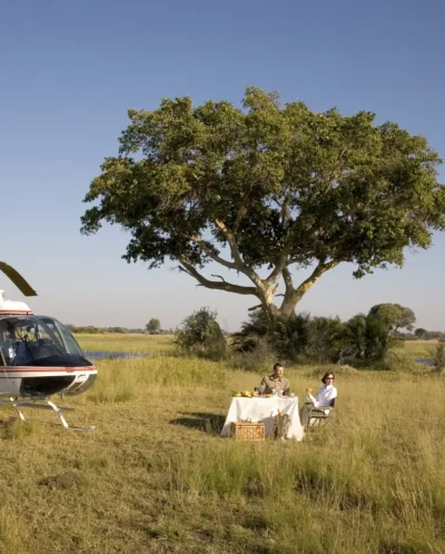Helicopter Safaris 6