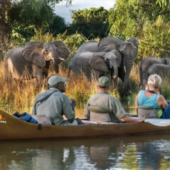 canoeing, the founders of zambias walking safaris, trips