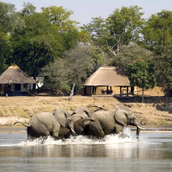 Nsefu 01