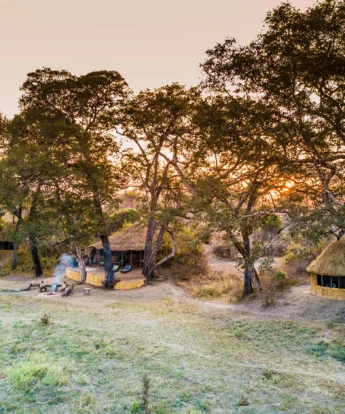 crocodile river camp outlook zambia yellow zebra safaris