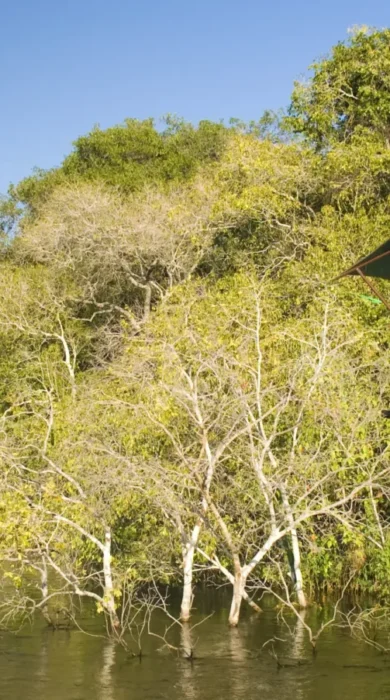 High Res view of chalet from River