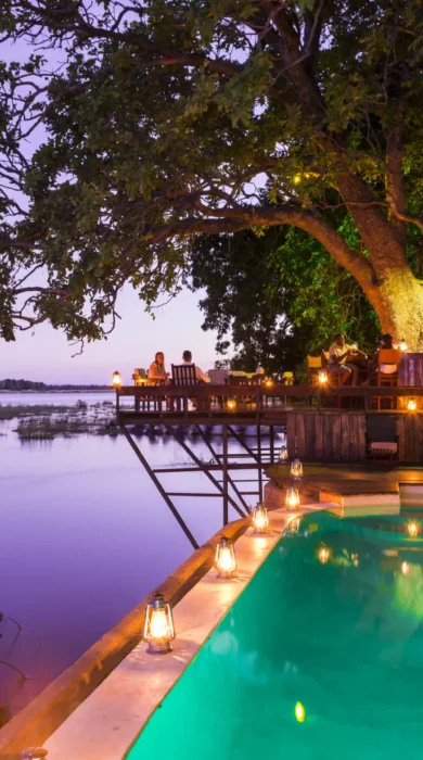 royal zambezi pool area zambia yellow zebra safaris