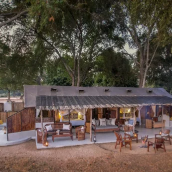 Family unit, Old Mondoro, Lower Zambezi, Zambia