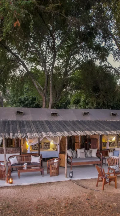 Family unit, Old Mondoro, Lower Zambezi, Zambia