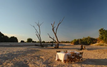 Zambia Safari Dining at Nsolo Bush Camp