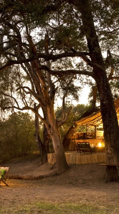 crocodile river camp zambia yellow zebra safaris