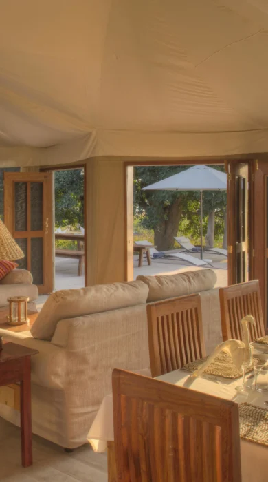 Croc Nest living & dining