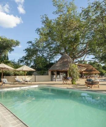 kafunta river lodge pool view yellow zebra safaris
