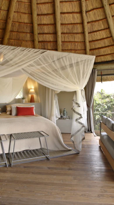Lion Camp Bedroom
