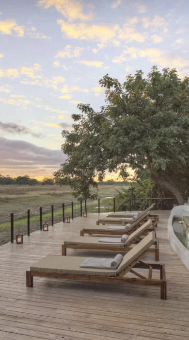 Lion Camp Pool Zambia