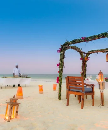 kisiwa beach dinner tanzania yellow zebra safaris