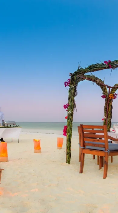 kisiwa beach dinner tanzania yellow zebra safaris
