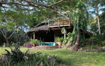 chole mijini Pavillion Bar 1