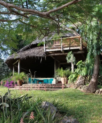 chole mijini Pavillion Bar 1