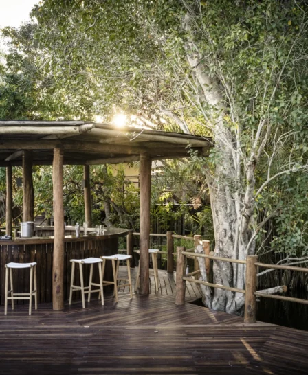 bar area, sanctuary sussi and chuma, victoria falls, zambia