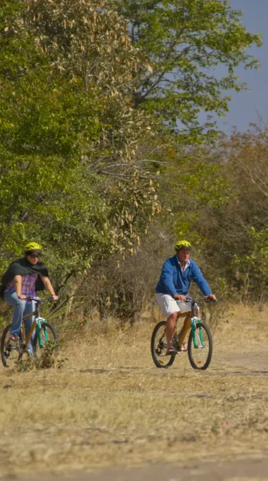 High Res Bamboo Biking