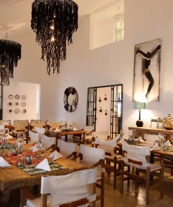 latitude 15 zambia dining room yellow zebra safaris