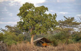 Exterior, Nkonzi Bush Camp, South Luangwa, Zambia