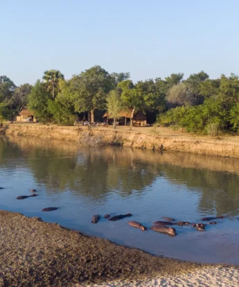 luangwa river takwela camp zambia yellow zebra safaris