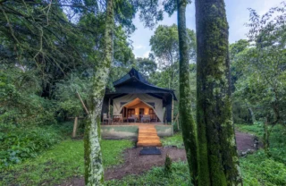 Exterior 4, Elephant Pepper, Mara North Conservancy, Kenya