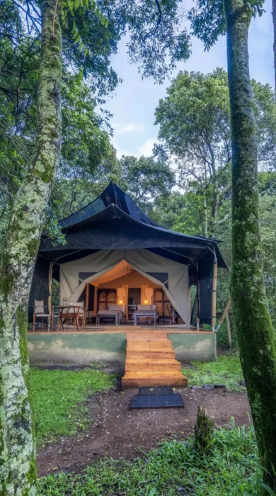 Exterior 4, Elephant Pepper, Mara North Conservancy, Kenya