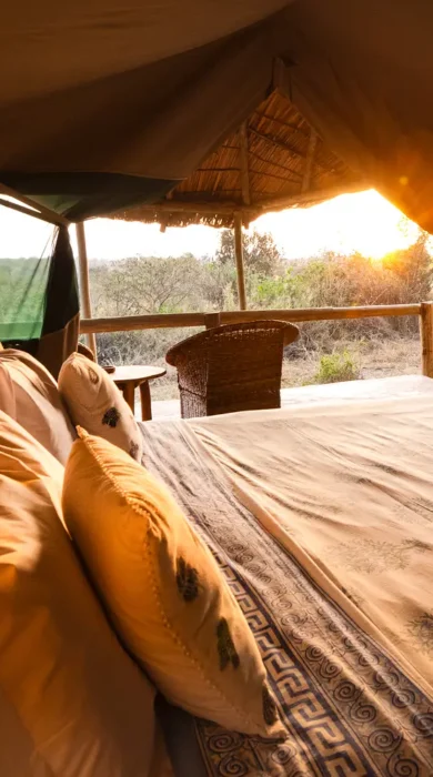 Tent View, Laikipia, Laikipia Wilderness, Kenya
