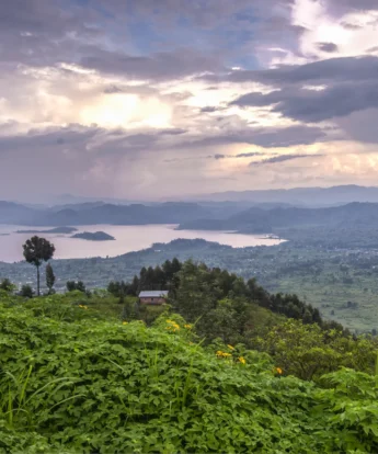 57 Virunga Lodge 201565