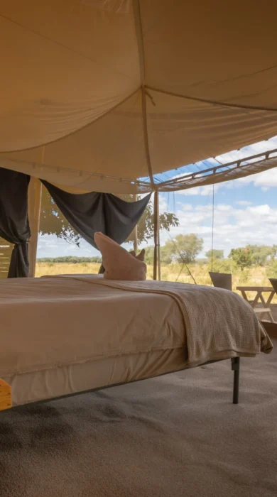 bedroom view, chula island, lower zambezi national park