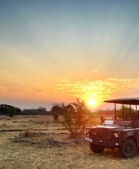 ntemwa busanga camp sunset zambia yellow zebra safaris