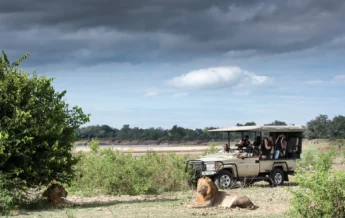 Game drive activities, Shawa Luangwa Camp, Zambia