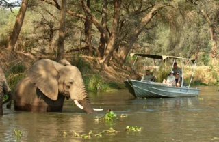 boating safaris, lower zambezi national park, zambia safaris