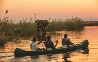 Canoeing in Mana Pools, Tembo Plains Camp