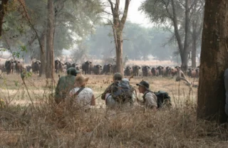 walking safari, true zimbabwe experience