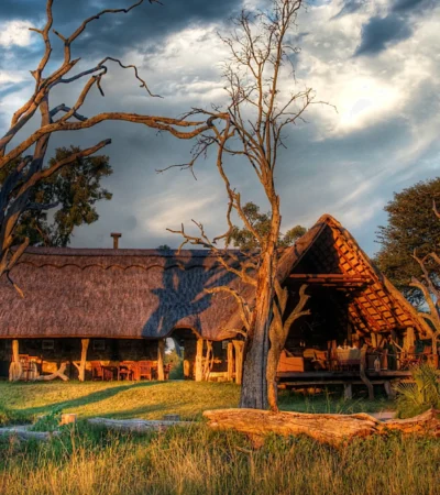 Main lodge, Bomani Tented Lodge, Hwange, Zimbabwe