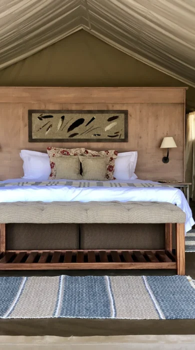 ingwe pans double bed zimbabwe yellow zebra safaris
