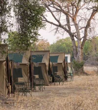 Camp chitake tents