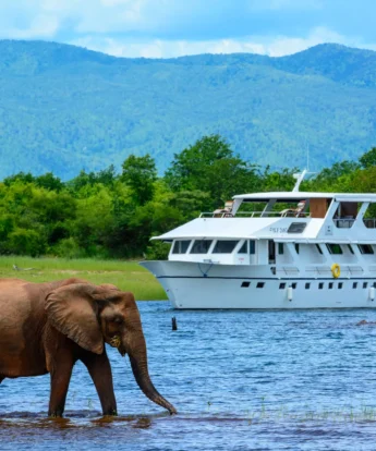 Safari cruising zambia