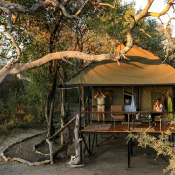 Saddlebill tents, Bomani Tented Lodge, Hwange, Zimbabwe