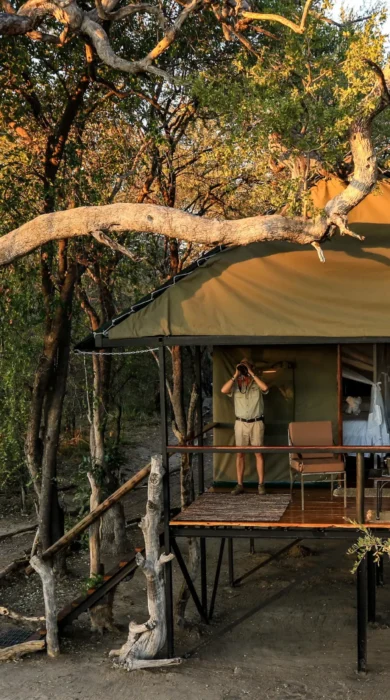 Saddlebill tents, Bomani Tented Lodge, Hwange, Zimbabwe