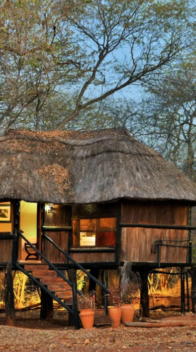 camp exterior, ivory safari lodge, hwange national park. zimbabwe