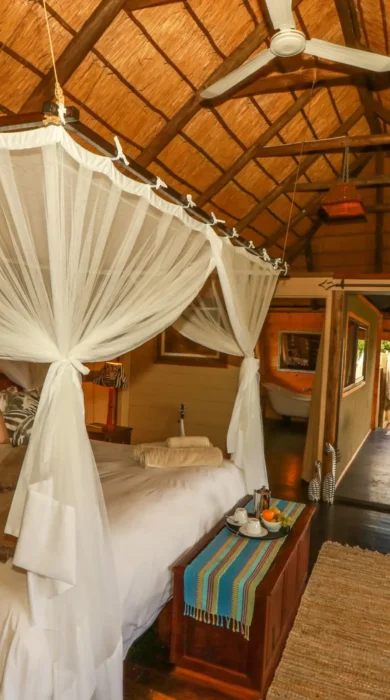 Double room, Nehimba Lodge, Hwange, Zimbabwe
