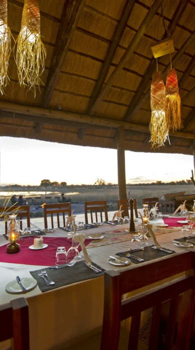 mm camp hwange june2013 08
